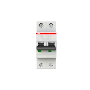 ABB S202-C63 Miniature Circuit Breaker 2P 63A C-Curve